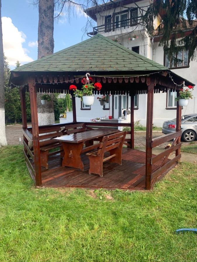 Vila Codreanu Bran  Extérieur photo