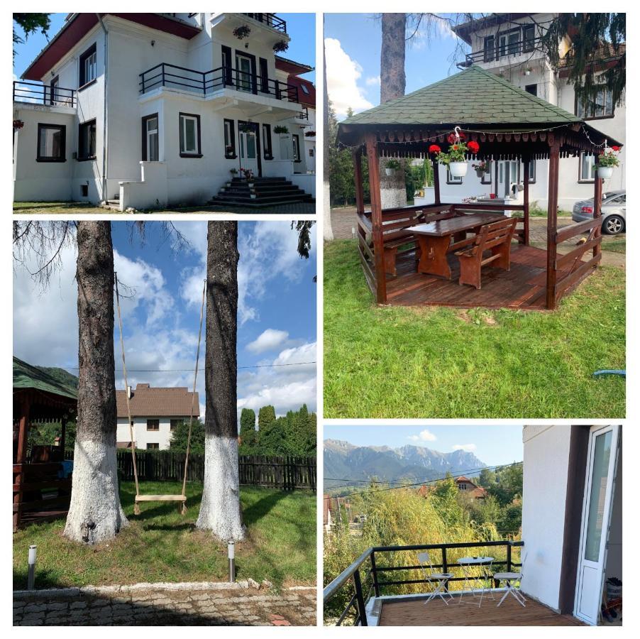 Vila Codreanu Bran  Extérieur photo