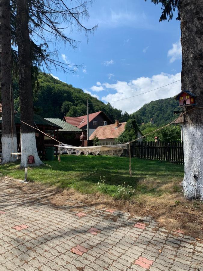 Vila Codreanu Bran  Extérieur photo