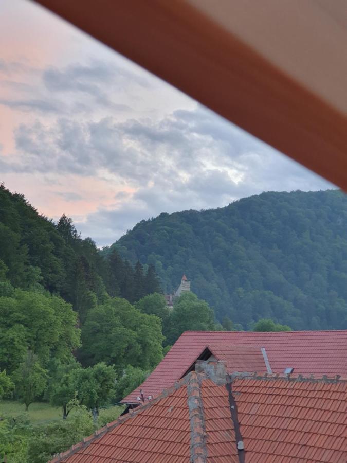 Vila Codreanu Bran  Extérieur photo