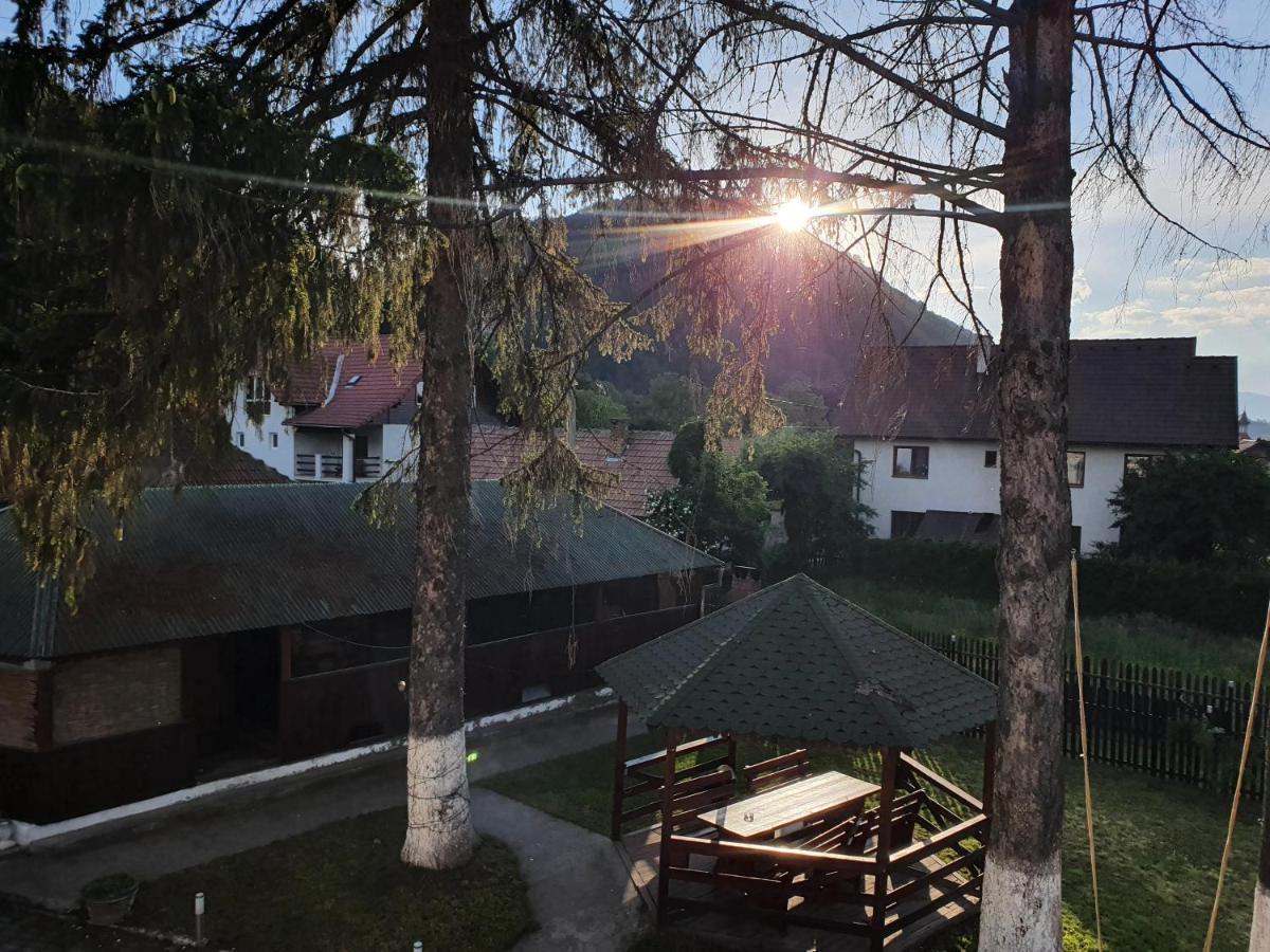 Vila Codreanu Bran  Extérieur photo