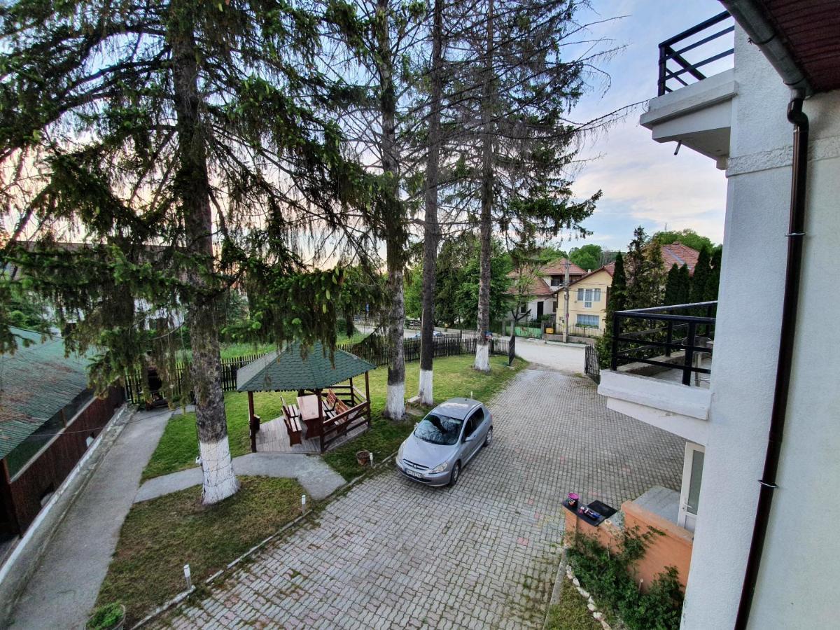 Vila Codreanu Bran  Extérieur photo