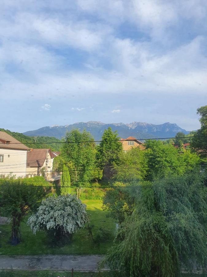 Vila Codreanu Bran  Extérieur photo