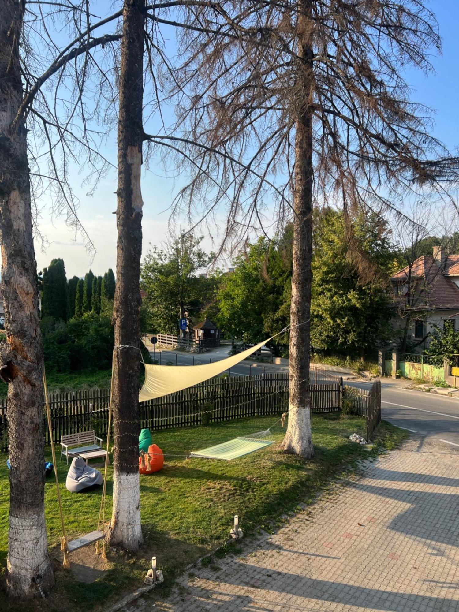 Vila Codreanu Bran  Extérieur photo